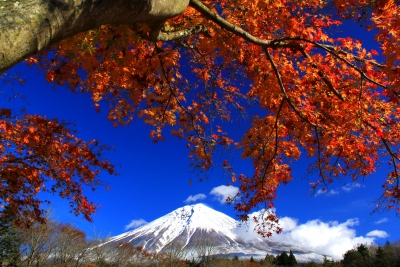 photo?id=817&suffix=m