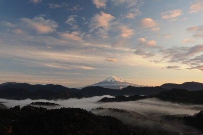 photo?id=824&suffix=m