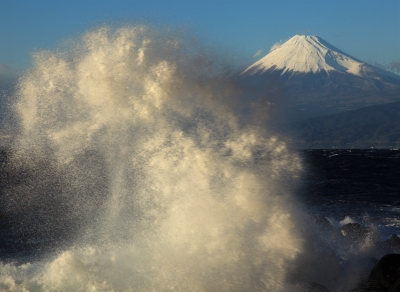 photo?id=834&suffix=m