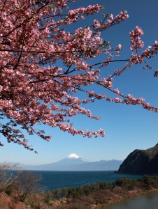 photo?id=835&suffix=m