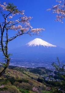 photo?id=837&suffix=m