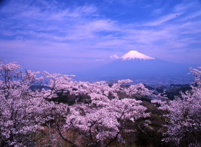 photo?id=844&suffix=m