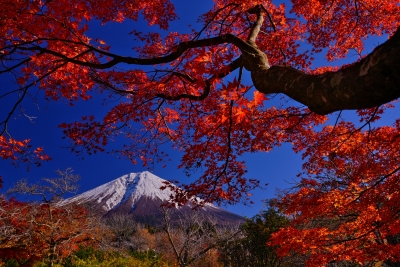 photo?id=8480&suffix=m