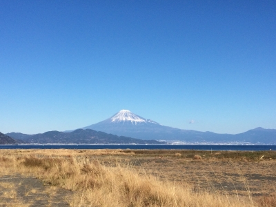 photo?id=849&suffix=m