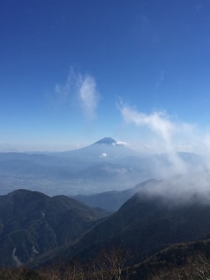 photo?id=860&suffix=m