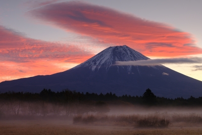 photo?id=8770&suffix=m