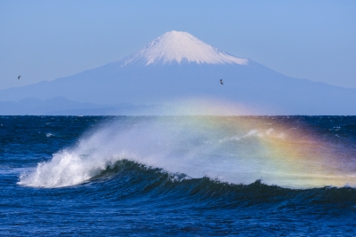 photo?id=8771&suffix=m