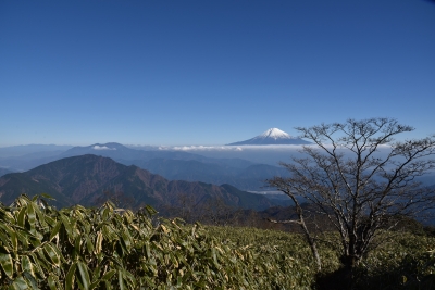 photo?id=885&suffix=m