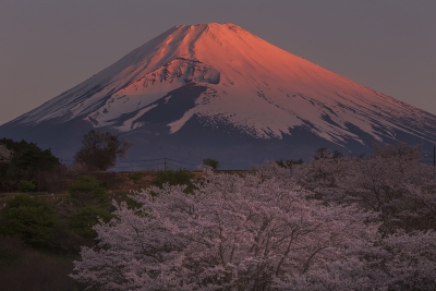 photo?id=8853&suffix=m