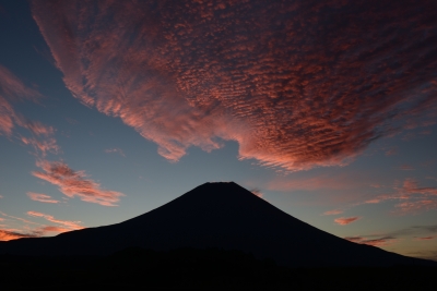 photo?id=886&suffix=m