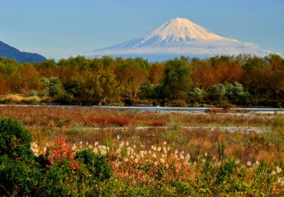 photo?id=888&suffix=m