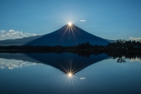 photo?id=889&suffix=t