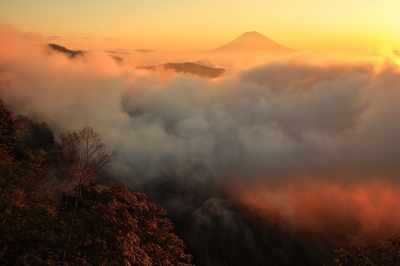 photo?id=8916&suffix=m