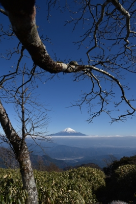 photo?id=892&suffix=m