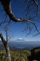 photo?id=892&suffix=t