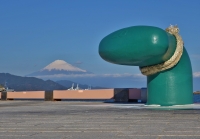 photo?id=893&suffix=t