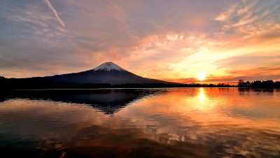 photo?id=894&suffix=m