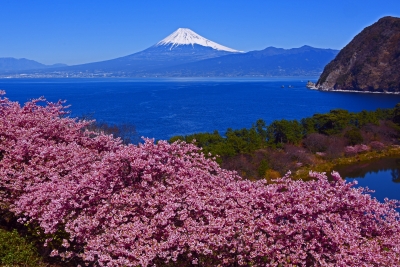 photo?id=8943&suffix=m