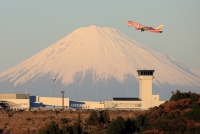 photo?id=895&suffix=t