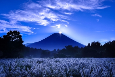 photo?id=8958&suffix=m