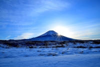 photo?id=896&suffix=t