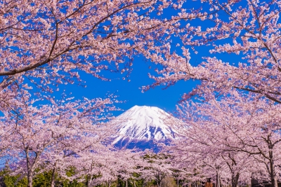 photo?id=8964&suffix=m