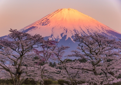 photo?id=8974&suffix=m