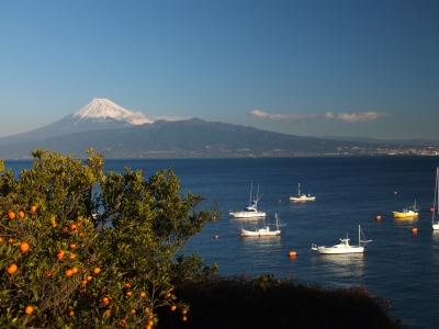 photo?id=898&suffix=m