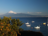 photo?id=898&suffix=t