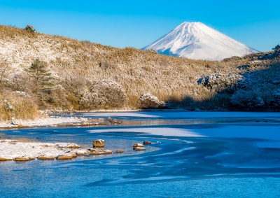 photo?id=8985&suffix=m