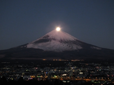 photo?id=899&suffix=m