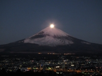 photo?id=899&suffix=t