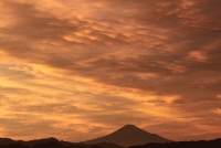 photo?id=900&suffix=t