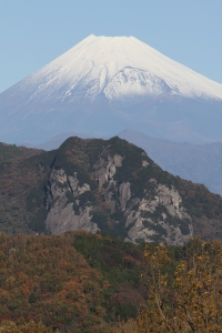 photo?id=902&suffix=m