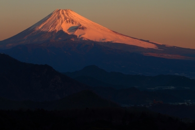 photo?id=903&suffix=m