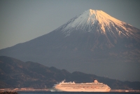 photo?id=904&suffix=t