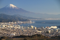 photo?id=905&suffix=t