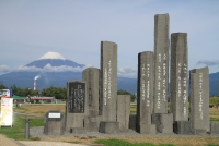 photo?id=906&suffix=t