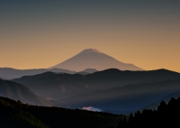 photo?id=910&suffix=t