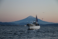 photo?id=914&suffix=t