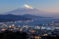 photo?id=918&suffix=t