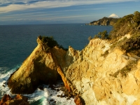 photo?id=920&suffix=t