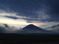 photo?id=921&suffix=t