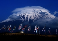 photo?id=924&suffix=t