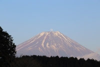 photo?id=926&suffix=t