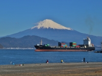 photo?id=927&suffix=t