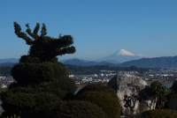 photo?id=932&suffix=t