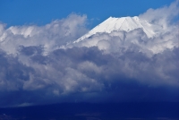 photo?id=933&suffix=t