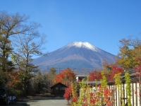 photo?id=934&suffix=t