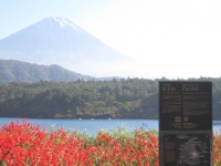 photo?id=935&suffix=t